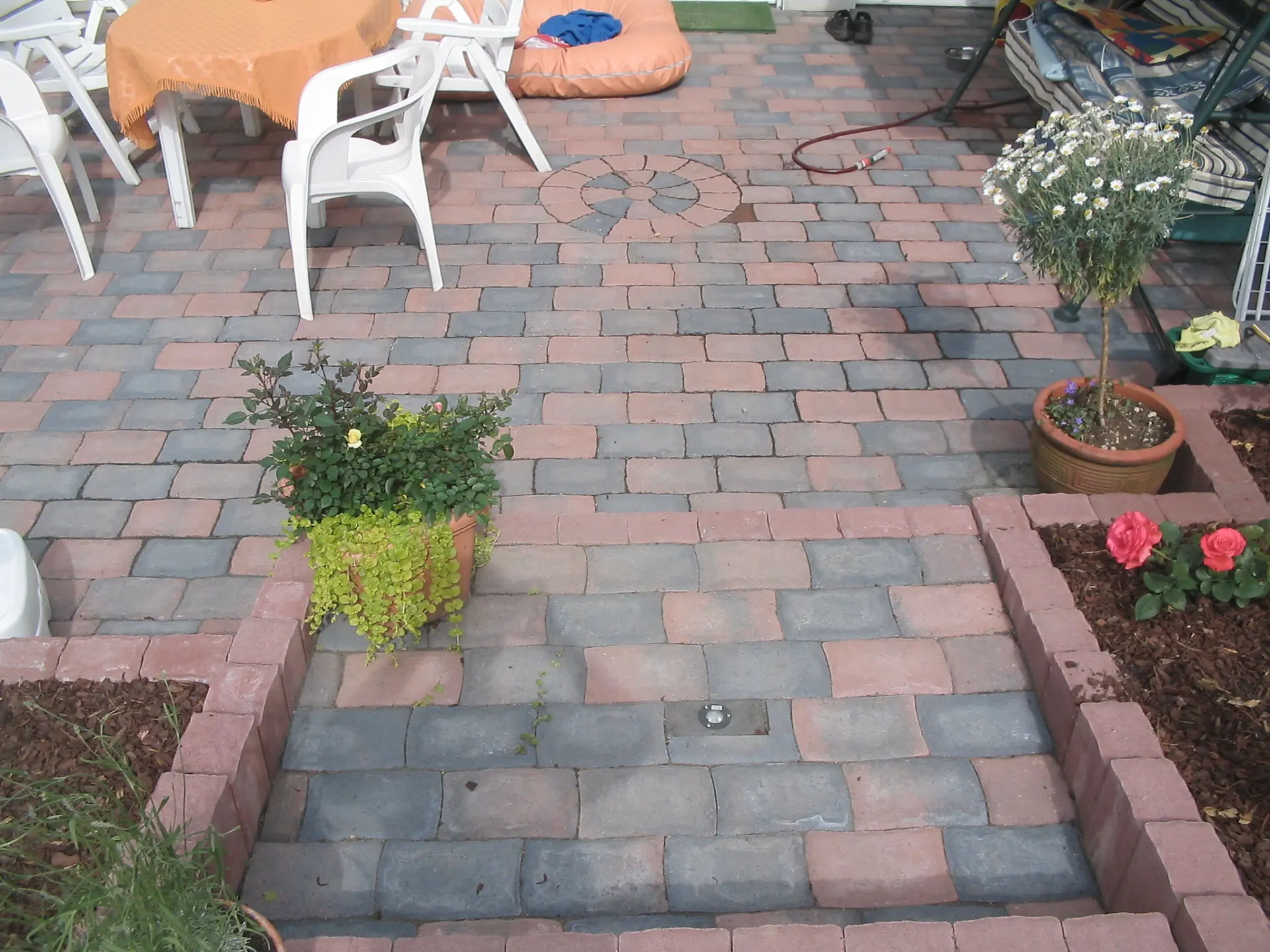 Fertig gepflasterte Terrasse mit Randeinfassung und Rosenpflanzung